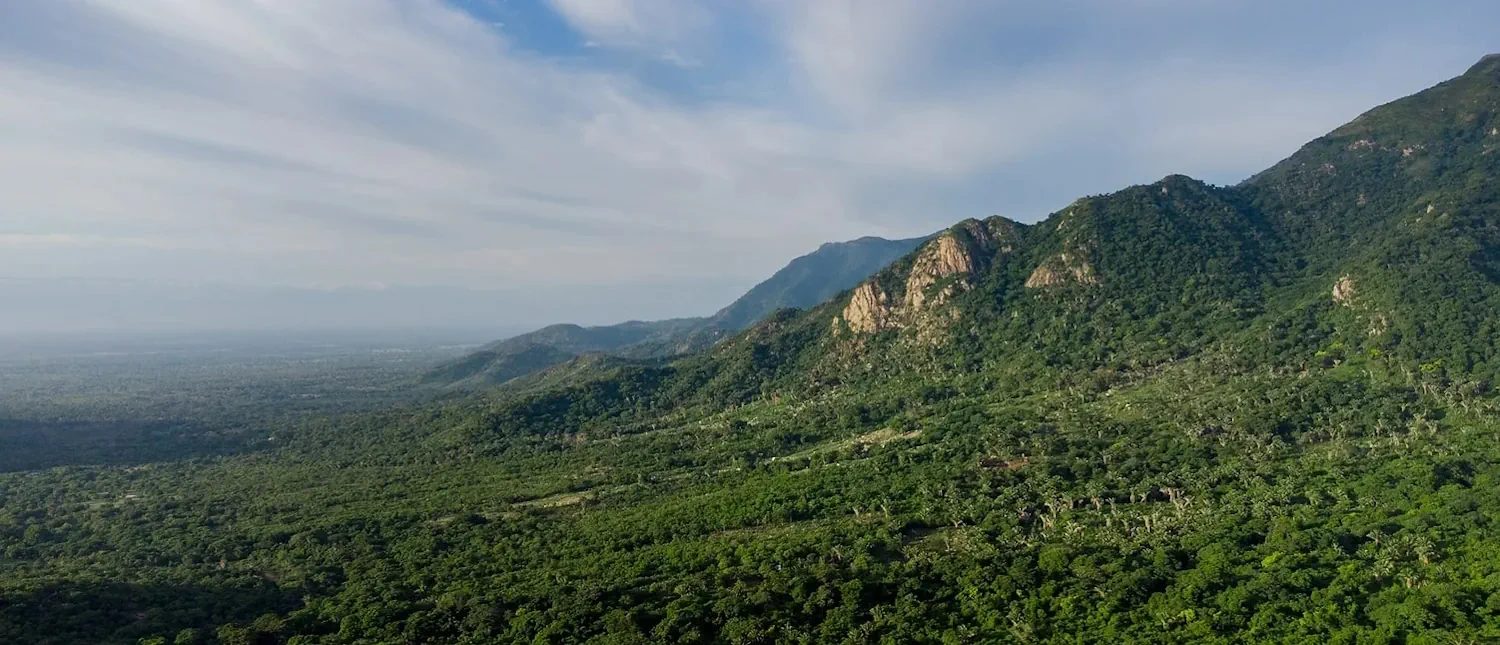 Terrasos - Biodiversidad
